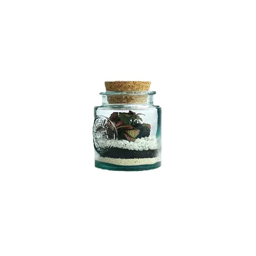 Espace vert pratique：Terrarium autonome Mao M botanic® - Ø 10 x 13 cm