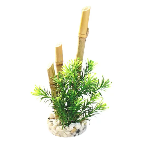 Nature au jardin:Bambou plantes