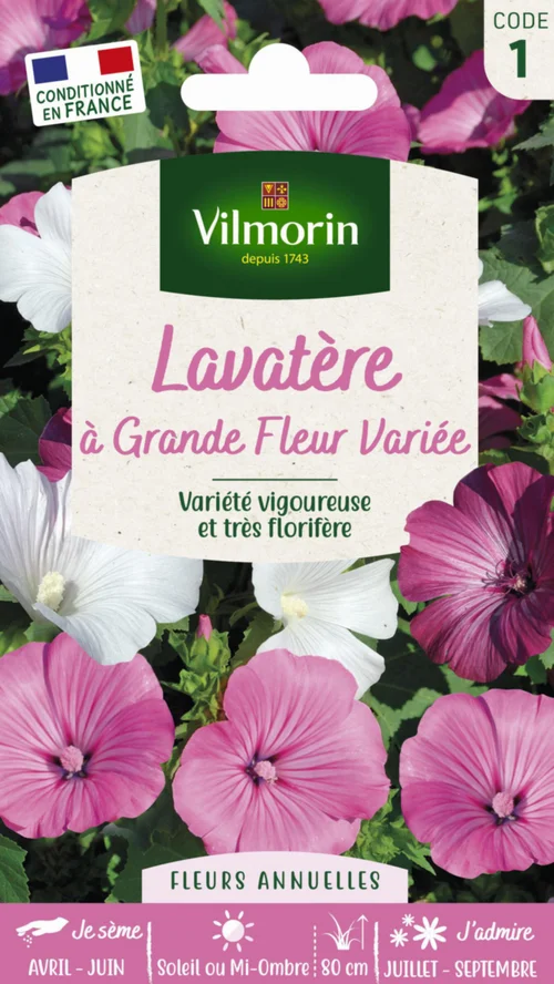 Votre jardin：Lavatère à Grande Fleur variée Vilmorin - graines à semer
