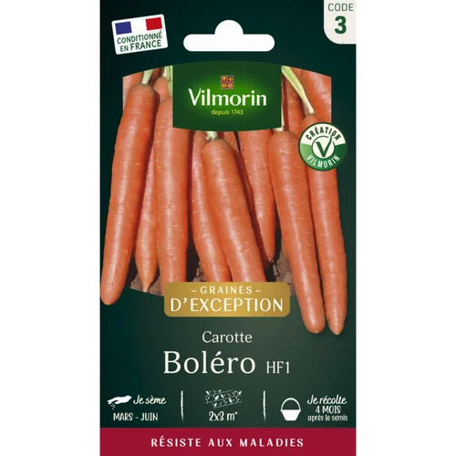 Extérieur tendance：Sachet de semences potagères graines de carotte Boléro HF1 Graines d'Exception