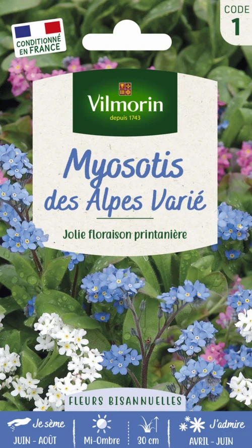 Pour vos projets extérieurs：Myosotis des Alpes Varié Vilmorin - graines à semer