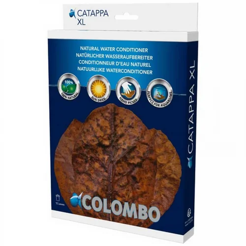 Facile à intégrer au jardin：Feuilles de badamier x10 - Catappa XL - COLOMBO