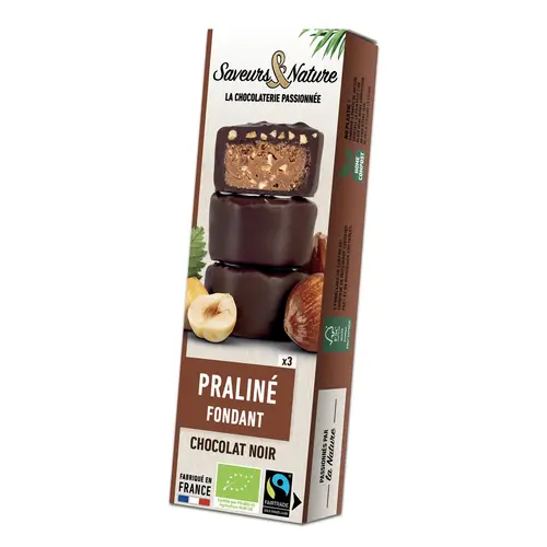 Extérieur facile：Bouchées bio cacahuète la fleur de sel chocolat noir Saveurs et Nature - 45 g