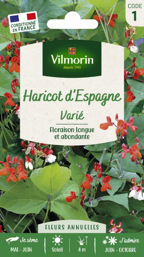 Un essentiel du jardin:Haricot d'Espagne Varié Vilmorin - graines à semer