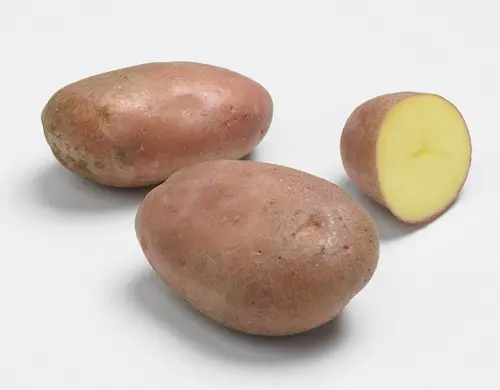 Une sélection pour l’extérieur:Sachet de pommes de terre rosabelle calibre 25/35 - 3 kg