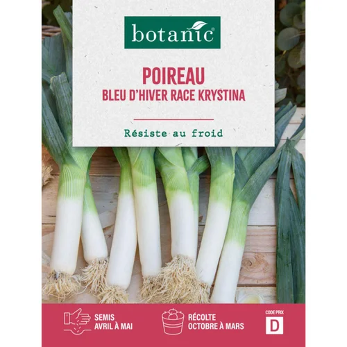 Simple dehors：Graines de poireau bleu d'hiver race Krystina botanic® - graines à semer