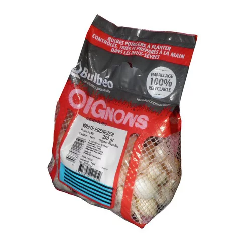 Pour mieux équiper vos extérieurs：Bulbes d’oignons blanc White Ebenezer calibre 14/21, 250 g