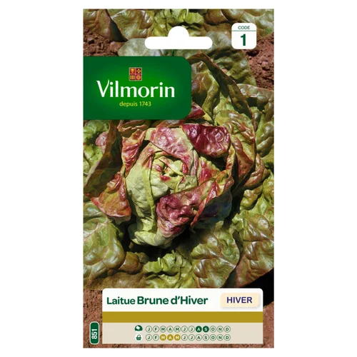 À découvrir pour le jardin：Laitue Brune d'Hiver Vilmorin - graines à semer