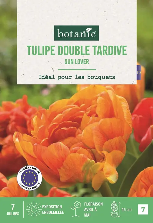 Jardin & nature：Bulbes de fleurs Tulipe double tardive Sun Lover orange botanic® - 7 bulbes