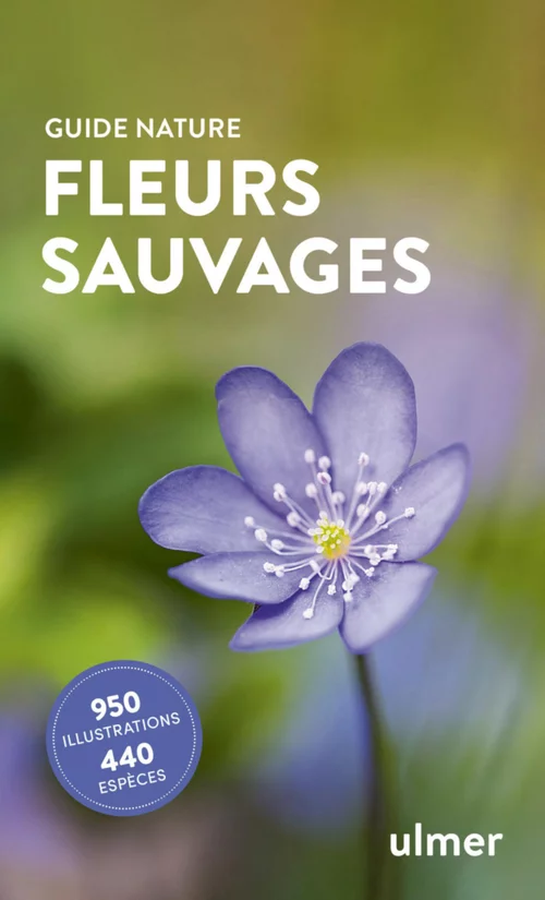 Une solution adaptée au jardin:Livre Fleurs sauvages - Guide nature aux Éditions Ulmer - 192 pages