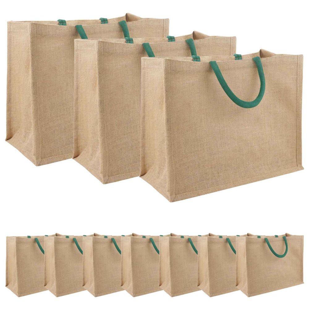 vidaXL Sacs en jute 10 Naturel et vert 42 x 33 x 19 cm – Solutions extérieures