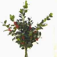 Pour compléter votre jardin:Bouquet de houx vert et rouge pour décoration de Noël - 60/80 cm