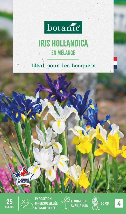Bien pensé extérieur：Iris hollandica en mélange botanic® - 25 bulbes