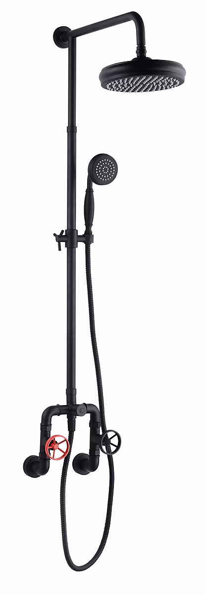 Colonne de douche mécanique avec pommeau + douchette 1 jet + flexible + barre réglable – noir, Edouard Rousseau Industriel