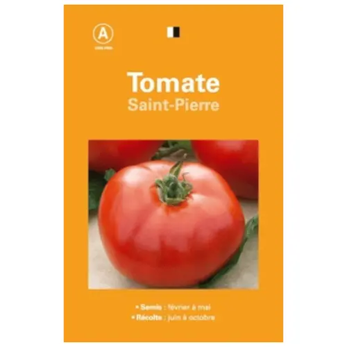 Idéal pour vos extérieurs：Graines de tomate Saint Pierre premier prix - graines à semer