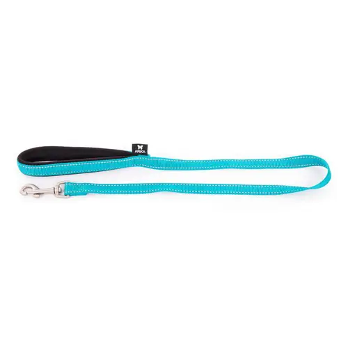Vie dehors:Laisse Neo+ pour chien coloris bleu 2x100 cm