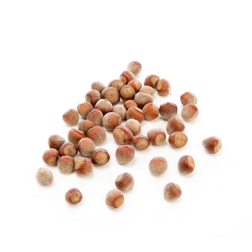 Jardin bien-être:Noisette bio de France - Prix au kg