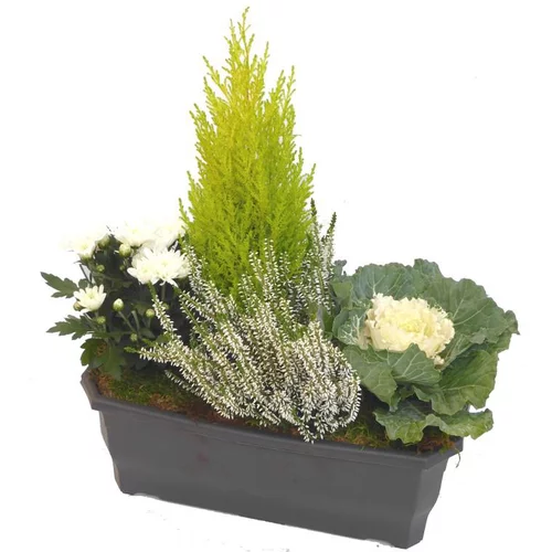 Un choix pratique pour le jardin：Jardinière d'automne blanche - La jardinière de 40 cm