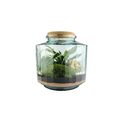 Une sélection pour le jardin：Terrarium autonome Napoli M botanic® - Ø 23 x 25 cm