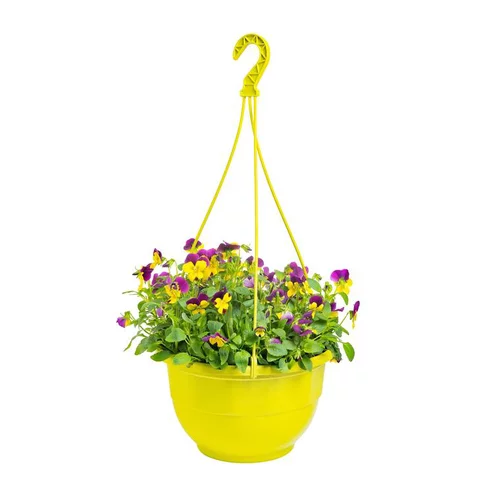 Extérieur moderne:Viola Cornuta - La suspension
