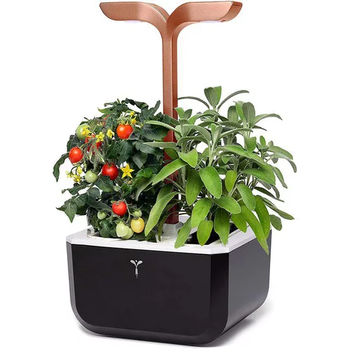 Jardin et maison:Potager d'intérieur autonome compact Exky® SMART Black Copper - livré avec 2 lingots