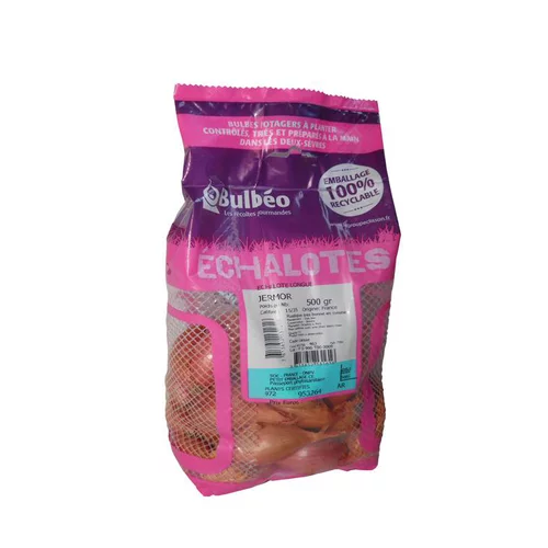 Essentiel jardin：Bulbes d’échalotes longue Jermor calibre 15/35, 500 g