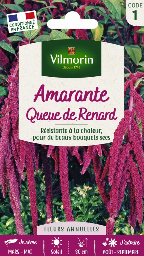 Pour simplifier vos extérieurs：Graines de Amarante Queue de Renard Vilmorin - graines à semer