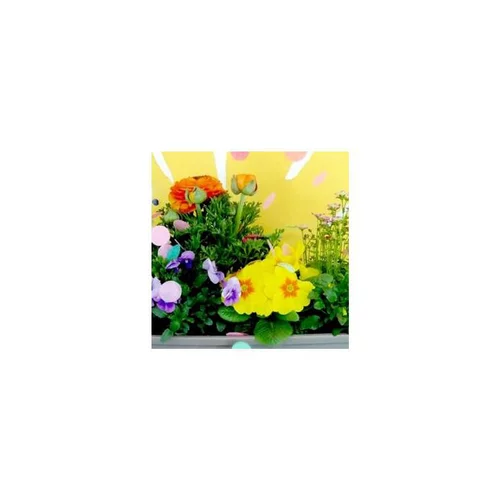 Un essentiel du jardin:Thème Printemps Petillant - Le pot de 3 litres
