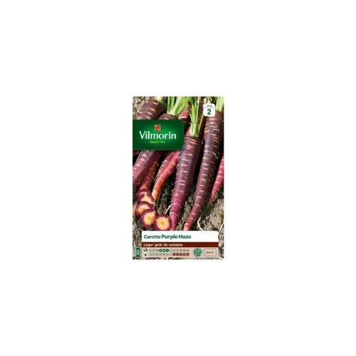 Un indispensable au jardin：Graines de Carotte violette Purple Haze Vilmorin - graines à semer