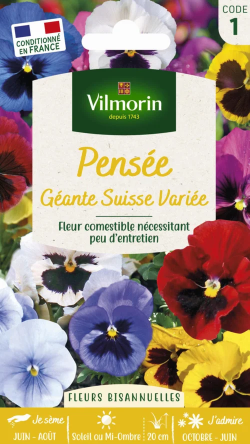 Adapté au jardin：Pensée Géante Suisse Variée Vilmorin - graines à semer