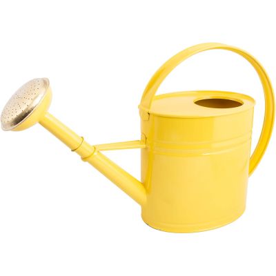 Arrosoir oval 4L en acier galvanisé jaune citron