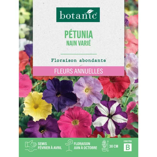 Pour compléter votre espace extérieur:Graines de fleurs de Pétunia nain varié botanic®