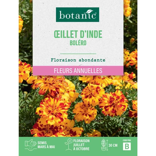 Pour tous vos besoins extérieurs:Graines de fleurs d'Œillet d'inde boléro botanic®