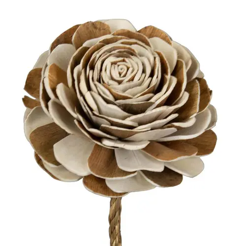 Pour votre projet：Fleur de sola bicolore beige et rose - Ø 12 x H 65 cm