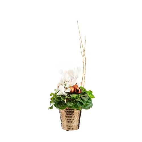 Pour vos envies d’extérieur:Mini cyclamen en pot bronze