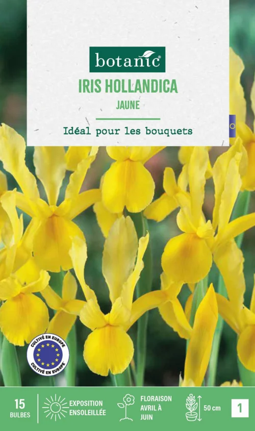 Espace vert pratique：Iris hollande coloris jaune botanic® - 15 bulbes