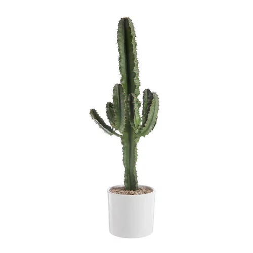 Extérieur accessoire:Euphorbia Érythrea en pot blanc émaillé H 30 x Ø 20 cm
