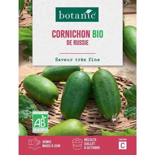 Facile au jardin：Graines de cornichon de Russie bio botanic® - graines à semer