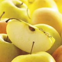 Un plus pour votre jardin：Pommier Tentation® Delblush. Le pot de 15 litres forme 1/2 tige