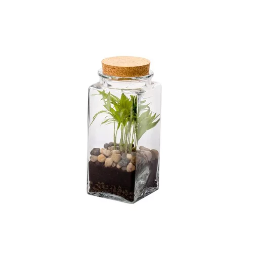Pensé pour vos extérieurs:Terrarium quitto Bulle de Nature taille M Ø 10 x h 20 cm