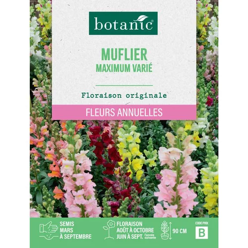 Jardin & solutions:Graines de fleurs de Muflier maximum varié botanic®
