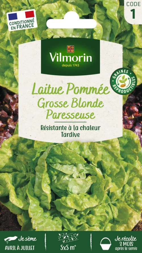 Pour votre espace vert：Laitue Pommée Grosse Blonde Paresseuse Vilmorin - graines à semer