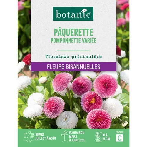 Essentiel pour le jardin：Graines de fleurs de Pâquerette pomponnette variée botanic®