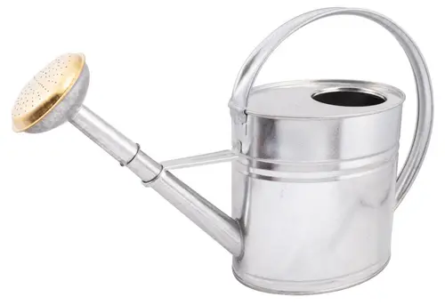 Nature au jardin：Arrosoir en acier galvanisé coloris argent Nogent - 4 L