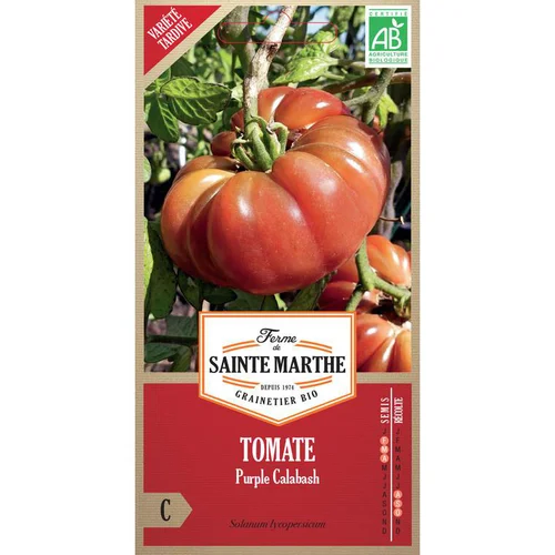 Une solution adaptée au jardin：Graines de Tomate Purple Calabash bio Ferme de Sainte Marthe - graines à semer