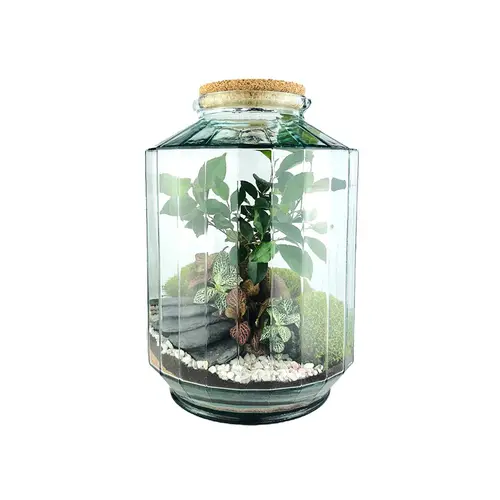 Votre allié à l’extérieur:Terrarium autonome Napoli L botanic® - Ø 25 x 37 cm