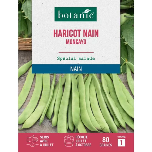 Utile extérieur：Graines d'haricot nain moncayo botanic® - graines nain semer