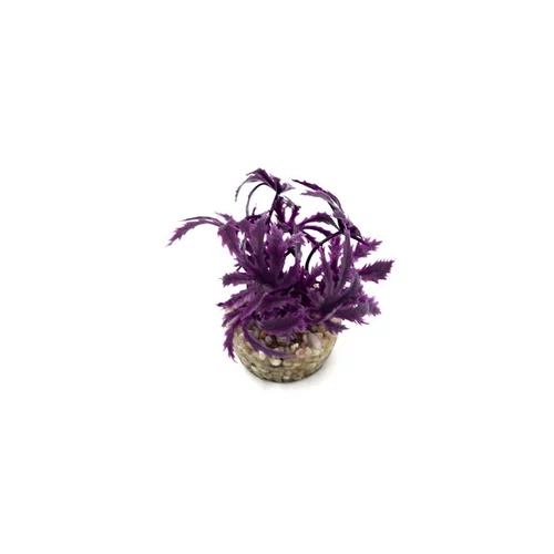 Utile dehors：Papyrus violet en plastique 8 cm