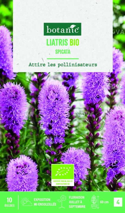 Pour compléter votre espace extérieur：Bulbes de fleurs Liatris Spicata bio botanic® - 10 bulbes
