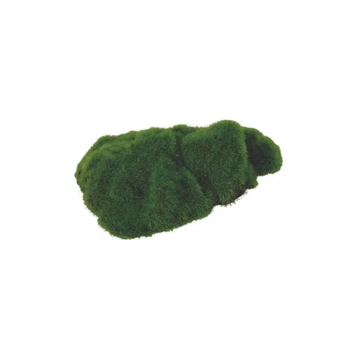 Sélection extérieure：Décoration d'aquarium galet ki pouss contenant des graines